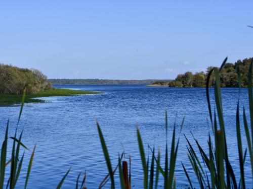 a view of a lake with grass in the foreground at Apartment Capama-1 by Interhome in Mimizan-Plage