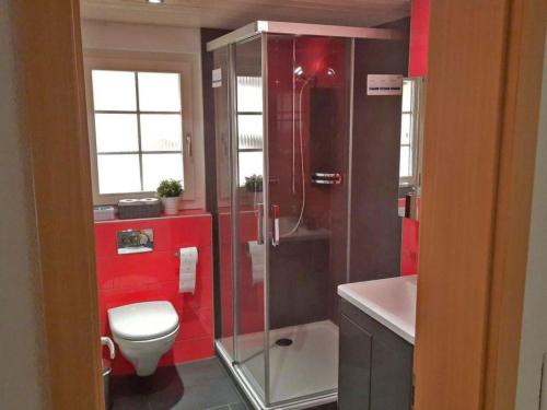 a bathroom with a shower and a toilet and a sink at Apartment Spitzhorn Nr- 1 by Interhome in Gsteig