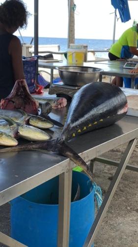a large fish on a table with some food at Villa Tigo T3 Colibri in Sainte-Luce