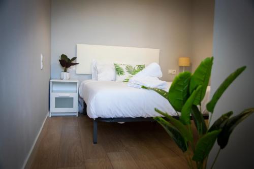 a bedroom with a bed with white sheets and a plant at Playa del Silencio 2 in Castañeras