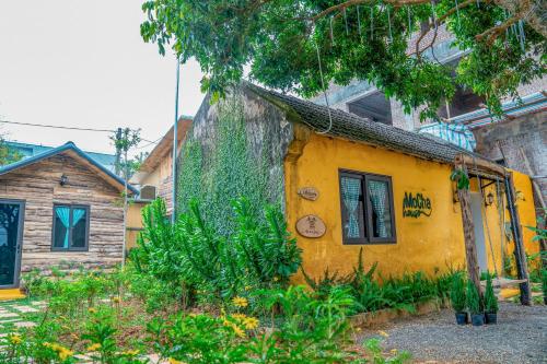 a small yellow house with plants in front of it at MoCha House in Làng Môn