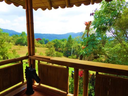 a dog standing on a porch looking out at the forest at Finca El Cielo in San Agustín