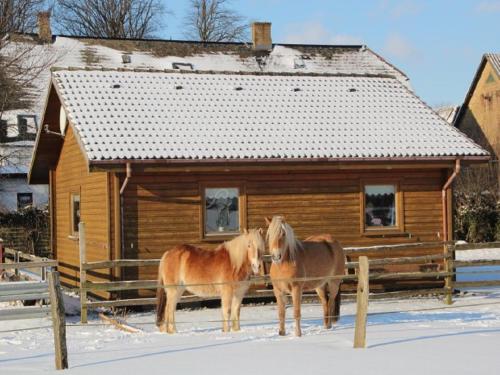 two horses standing in front of a log cabin at Lindenhof in Ahneby