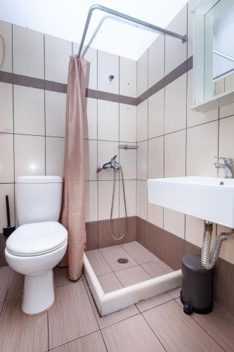 a bathroom with a toilet and a shower and a sink at Harama Hotel Schinousa in Skhoinoussa