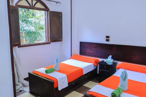 Fotografie z fotogalerie ubytování BAYT ZAINA - Nubian hospitality house v destinaci Asuán