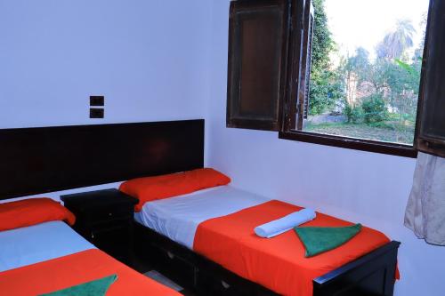 Fotografie z fotogalerie ubytování BAYT ZAINA - Nubian hospitality house v destinaci Asuán