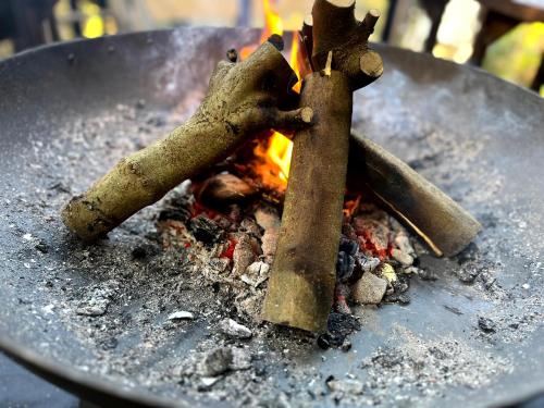 two pieces of wood over a fire in a pan at 南箱根ツリーハウス in Kannami