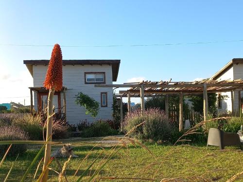 a house with a flowering plant in the yard at Tiny house Refugio santa isabel in Colonia Chapadmalal