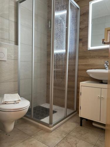 un bagno con doccia, WC e lavandino di Hôtel de charme la Poste ad Anzère