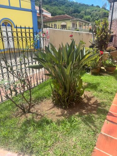 Jardin de l'établissement Casa com lareira em São Bento