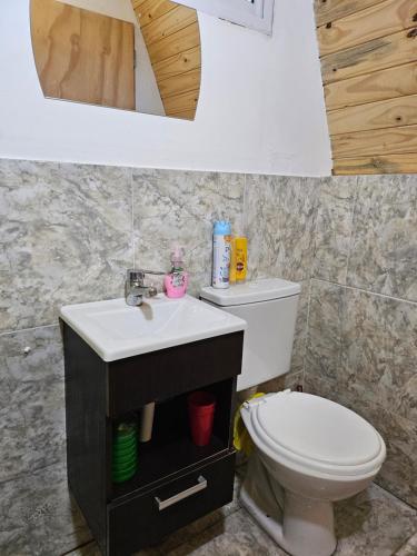 a bathroom with a toilet and a sink at Cabaña la turka in Perito Moreno