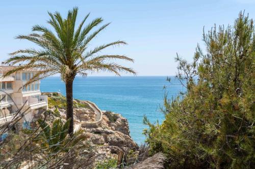 Mediterranean Way - Cye B-8