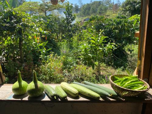 a bunch of green vegetables sitting on a window sill at Mộc Lan’s House in Phi Liêng