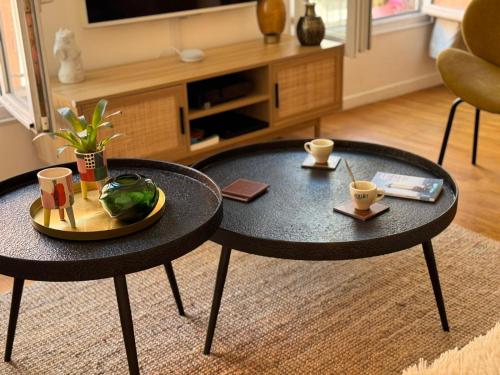 Μια τηλεόραση ή/και κέντρο ψυχαγωγίας στο Appartement ultra centre Sète climatisé