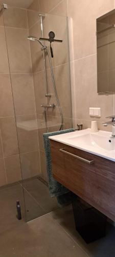 a bathroom with a shower and a sink at B&B De Blauwe Melkbus in Harskamp