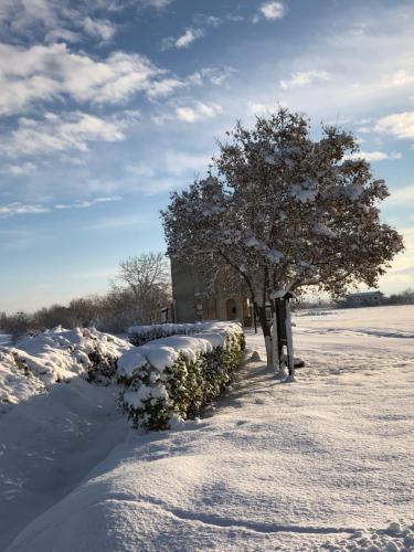 a tree in the snow next to a building at La casa di Noah in Bene Vagienna