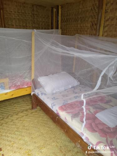a bedroom with two beds with a mosquito net at Weaver Bird Hostel in Rubanda