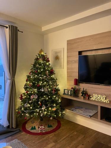 a christmas tree in a living room with a television at The Meadows Hideaway in Doolin
