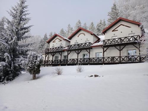 a large building with a bridge in the snow at Pensjonat Magdalena in Szklarska Poręba
