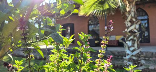 Gallery image of La Terra Rosa in Marrakech