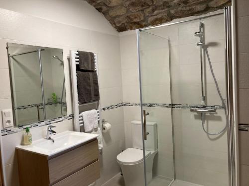 Un baño con ducha, inodoro y lavabo. en Mas de la Giralde - Gites, en Payzac
