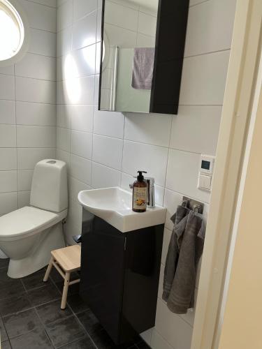 a bathroom with a sink and a toilet at Mindre lägenhet med stora möjligheter in Alingsås