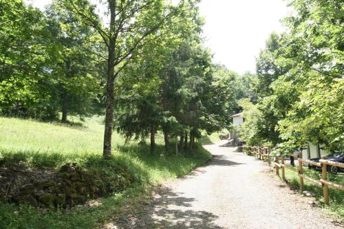a dirt road with trees on both sides of it at Casale delle farfalle in Tornolo