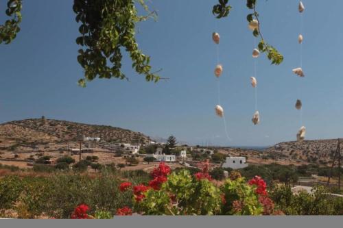 a kite is flying in the sky above flowers at Harama Hotel Schinousa in Skhoinoussa
