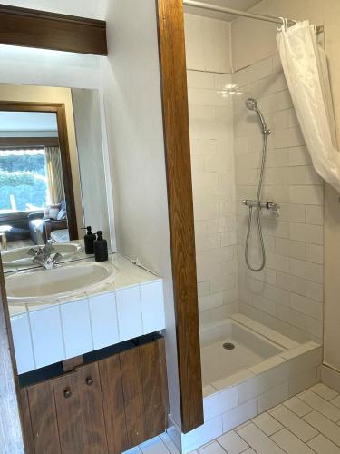 une salle de bain avec une baignoire, un lavabo et une douche dans l'établissement Grand Studio à 300m du pied des pistes,, à Megève