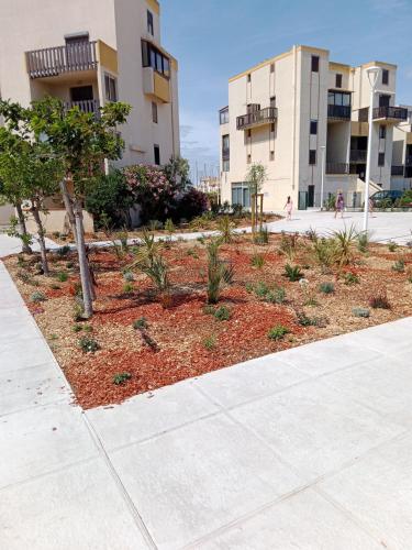 un jardin en face de deux immeubles d'appartements dans l'établissement T2 au LAMPARO, à Leucate-Plage