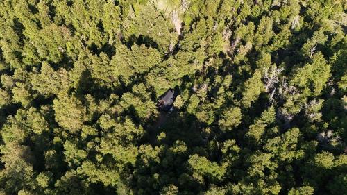 Naturlandskabet i nærheden af chaletet