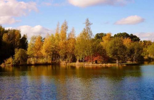 a view of a lake with trees in the background at Rubys Happy Haven in Crowle