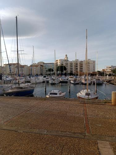 un groupe de bateaux amarrés dans un port avec des bâtiments dans l'établissement T2 au LAMPARO, à Leucate-Plage
