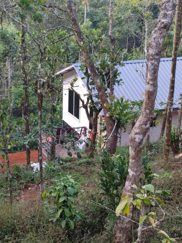 a house with a blue roof in the forest at Pepper Mist Wayanad Homestay in Tindummal