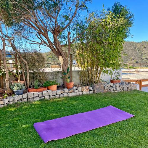 a purple yoga mat on the grass in a yard at Sunset View Aljezur in Aljezur