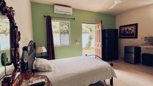 a bedroom with a bed in a room with green walls at Martha Cozy Apartments 2 in Valladolid