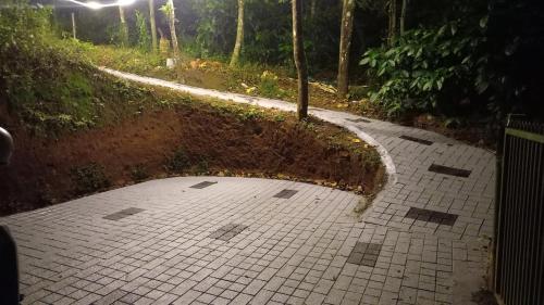a tiled path in the middle of a forest at Pepper Mist Wayanad Homestay in Tindummal