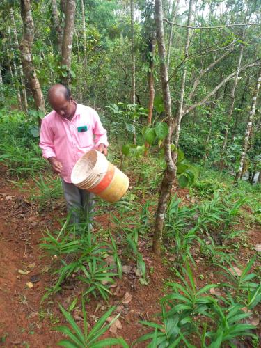 a man is standing in the woods with a hat at Pepper Mist Wayanad Homestay in Tindummal