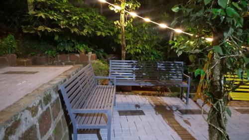 a blue bench sitting under a tree at night at Pepper Mist Wayanad Homestay in Tindummal