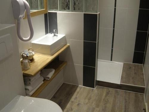 a bathroom with a sink and a shower at Hôtel les Vallois in Vallouise