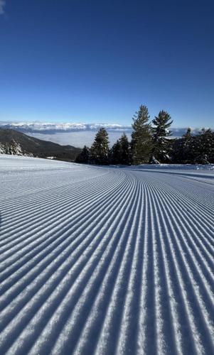 a snow covered field with trees in the background at Alpine Lodge Bansko Apartments in Bansko