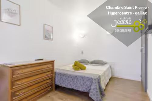Chambre Saint Pierre - Hypercentre