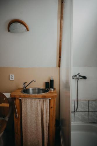 a bathroom with a sink and a shower at Roztomilá a utulná chata Azzy na samotě v lese. in Valašské Klobouky