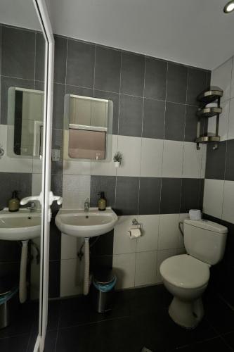 a bathroom with a toilet and a sink at Пе́трови Вили in Ribarica