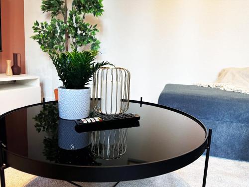 a glass coffee table with two plants on top of it at 60qm Apartment in Viersen zentral gelegen mit hohen Decken - BEUYS Apartments - Viersen in Viersen