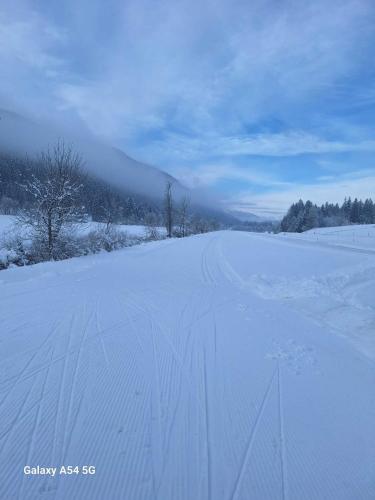 a snow covered road with tracks in the snow at Untersinnerhof Gsies in Valle Di Casies