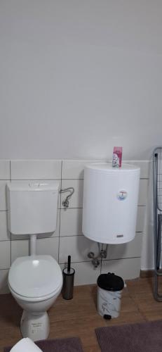 a bathroom with a toilet and a sink at Vila Jovana in Vrdnik
