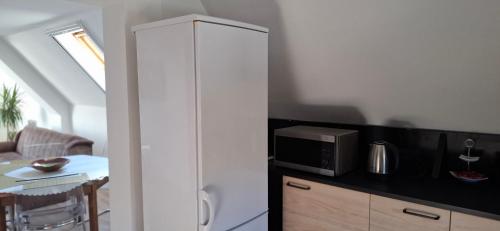 a white cabinet in a kitchen with a microwave at Vila Jovana in Vrdnik