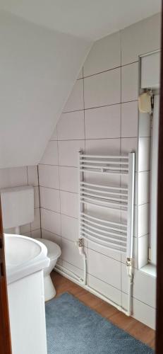 a bathroom with a toilet and a glass shower at Vila Jovana in Vrdnik