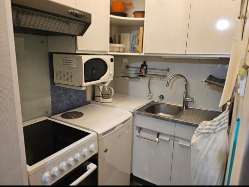 une petite cuisine avec un évier et un micro-ondes dans l'établissement L'Accolade, à Le Mont-Dore